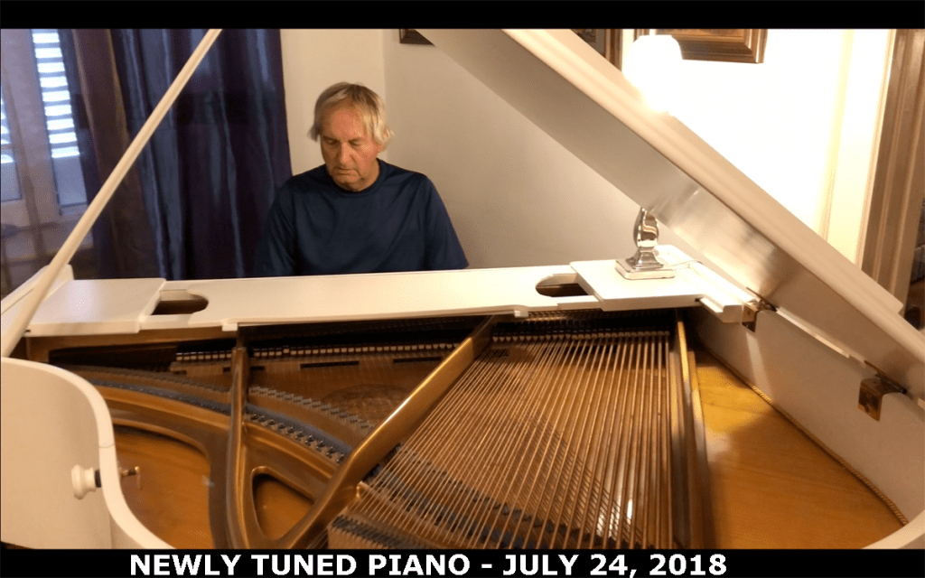 THE THREE FRENCH&nbsp;VISITATIONS